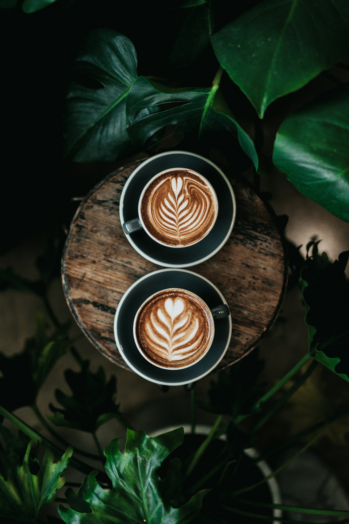 Specialty espresso drinks and coffee beans on a moody, rustic cafe table layout